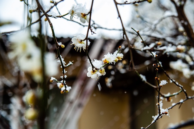 场时间并非