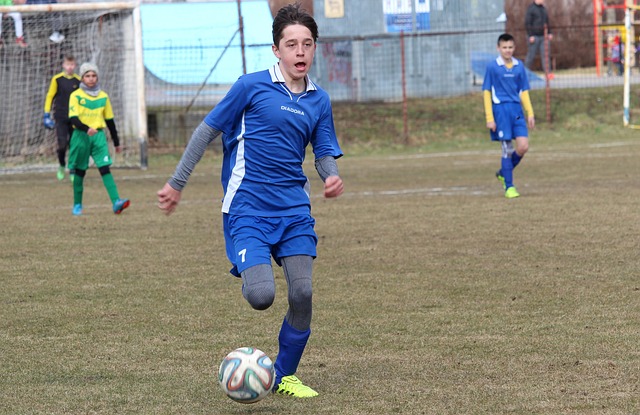 在漫长赛季 在漫长赛季