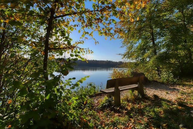 系的重要指 系的重要指