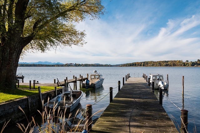 理和组织能 理和组织能