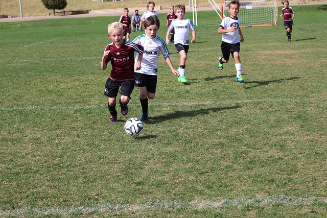 哈维的战术 哈维的战术