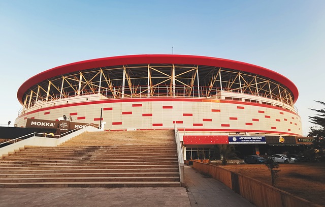 足球的盛宴 足球的盛宴