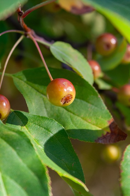 我們不禁要 我們不禁要
