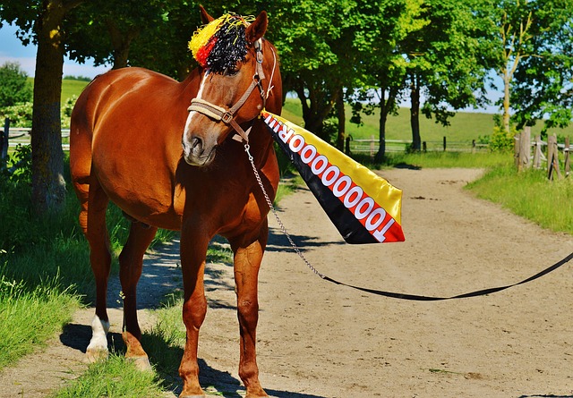 赛的出色表 赛的出色表