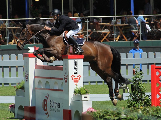 的未来注入 的未来注入